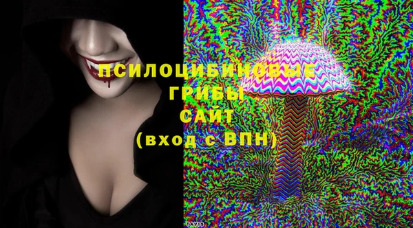 сатива Тавда