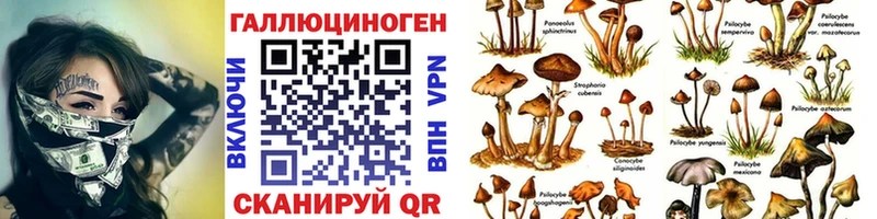 Галлюциногенные грибы ЛСД  Купить закладки  Болгар 